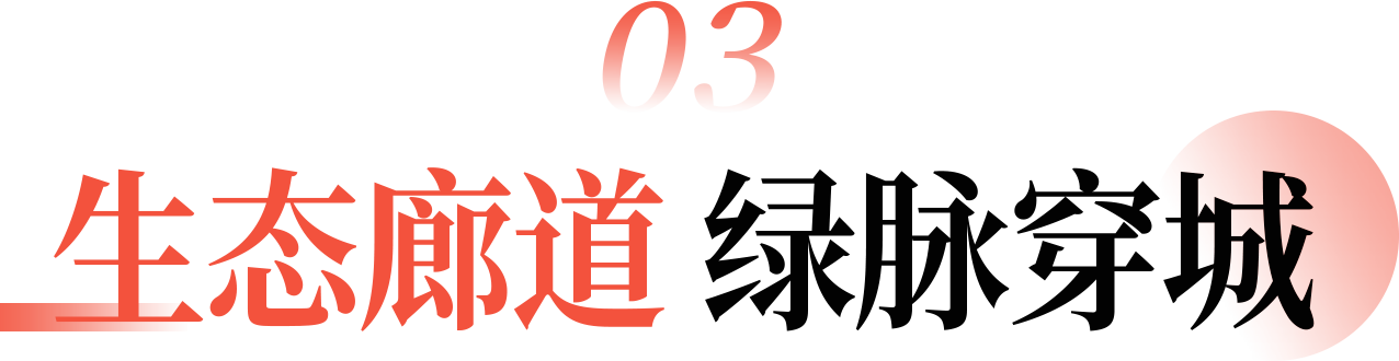 14.png