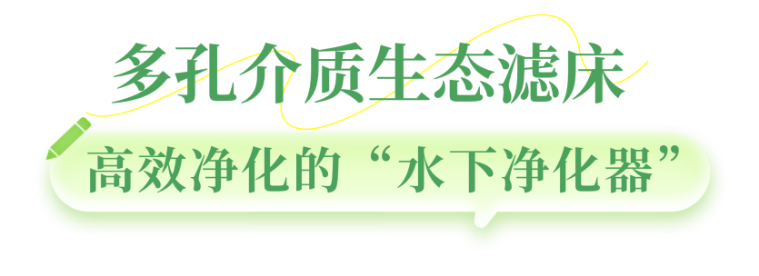 02.png