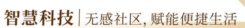 19.png
