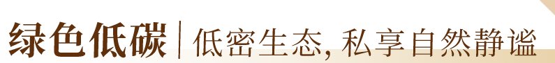 16.png