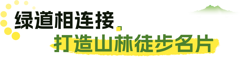 15.png 15.png