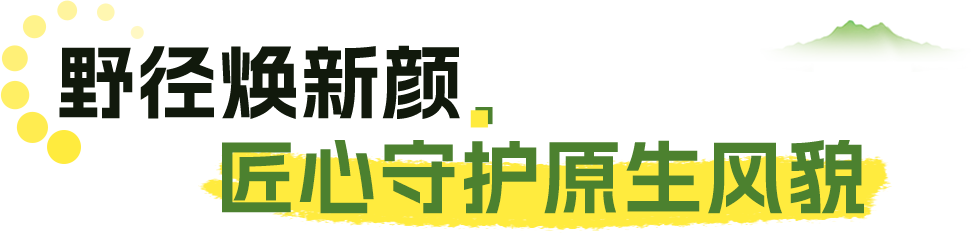 06.png