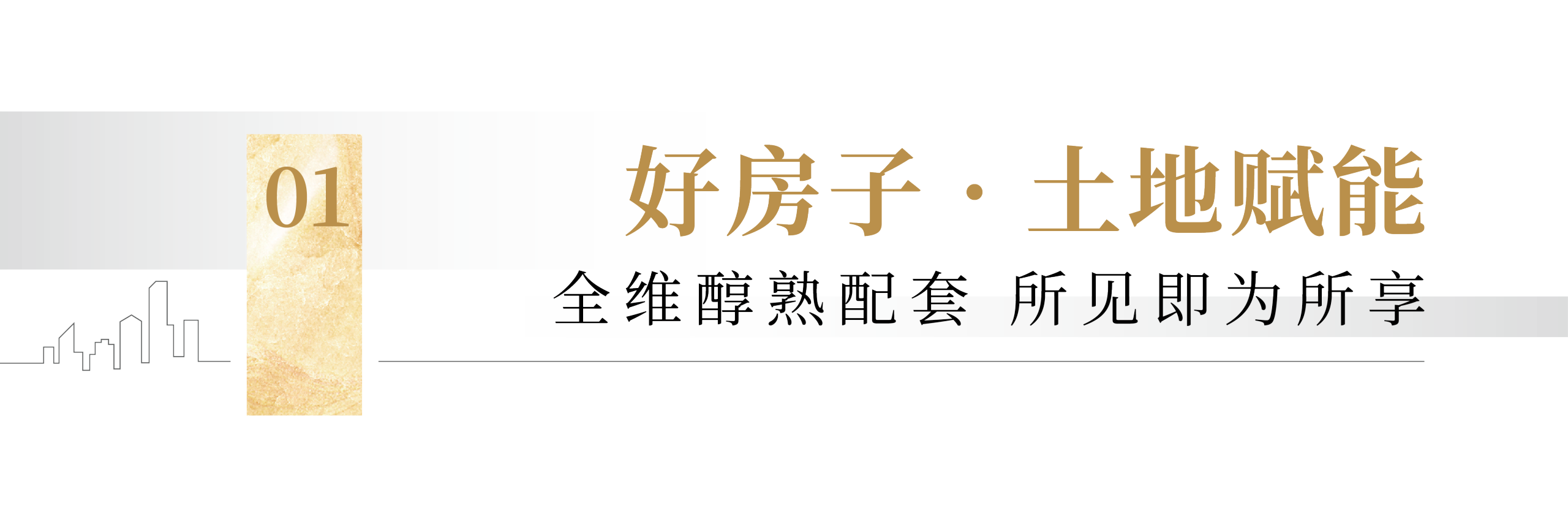 02.png 02.png